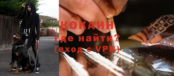индика Коряжма