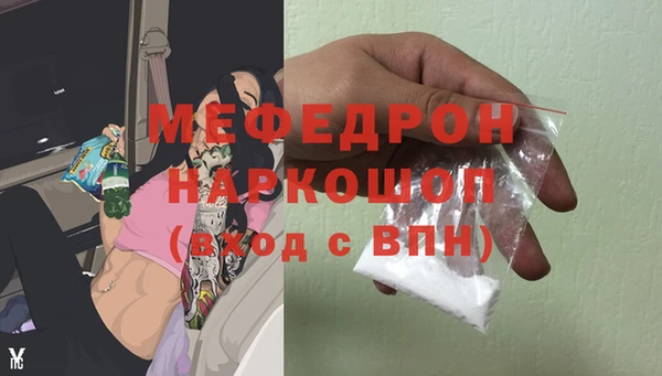 индика Коряжма