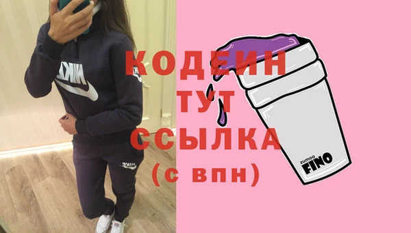 индика Коряжма
