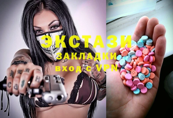 индика Коряжма