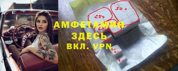 хмурый Корсаков